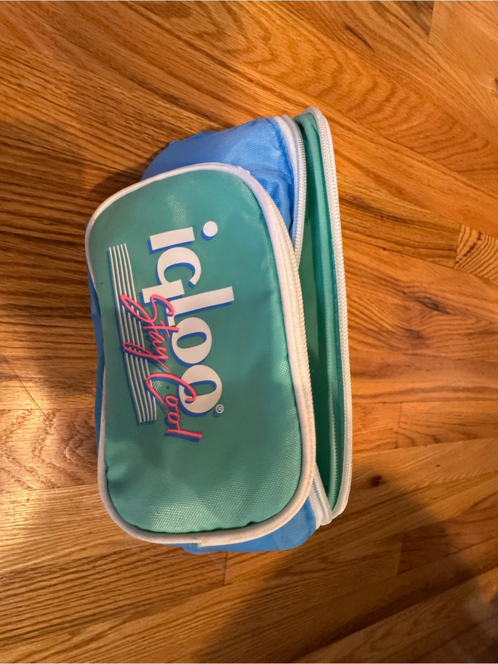 Stay Cool igloo cooler Fanny pack Blue Green